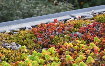 the cost of Chilham green roof installation